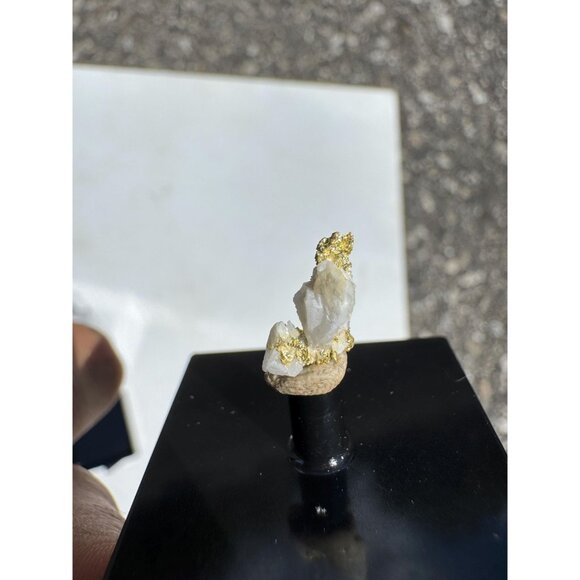 Gold on Quartz - Natural California Gold Specimen in Perky Display Box - #7 - Picture 4 of 7